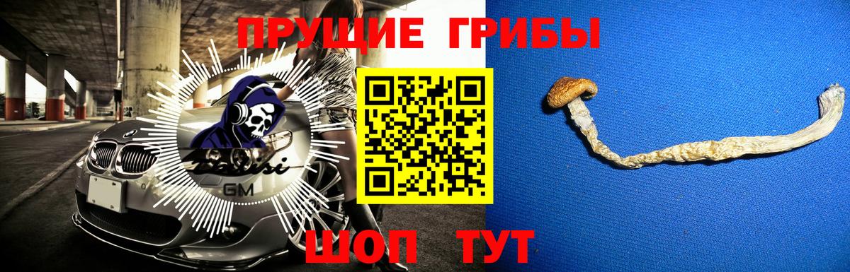 Псилоцибиновые грибы MAGIC MUSHROOMS  Вход с VPN  Хабаровск 